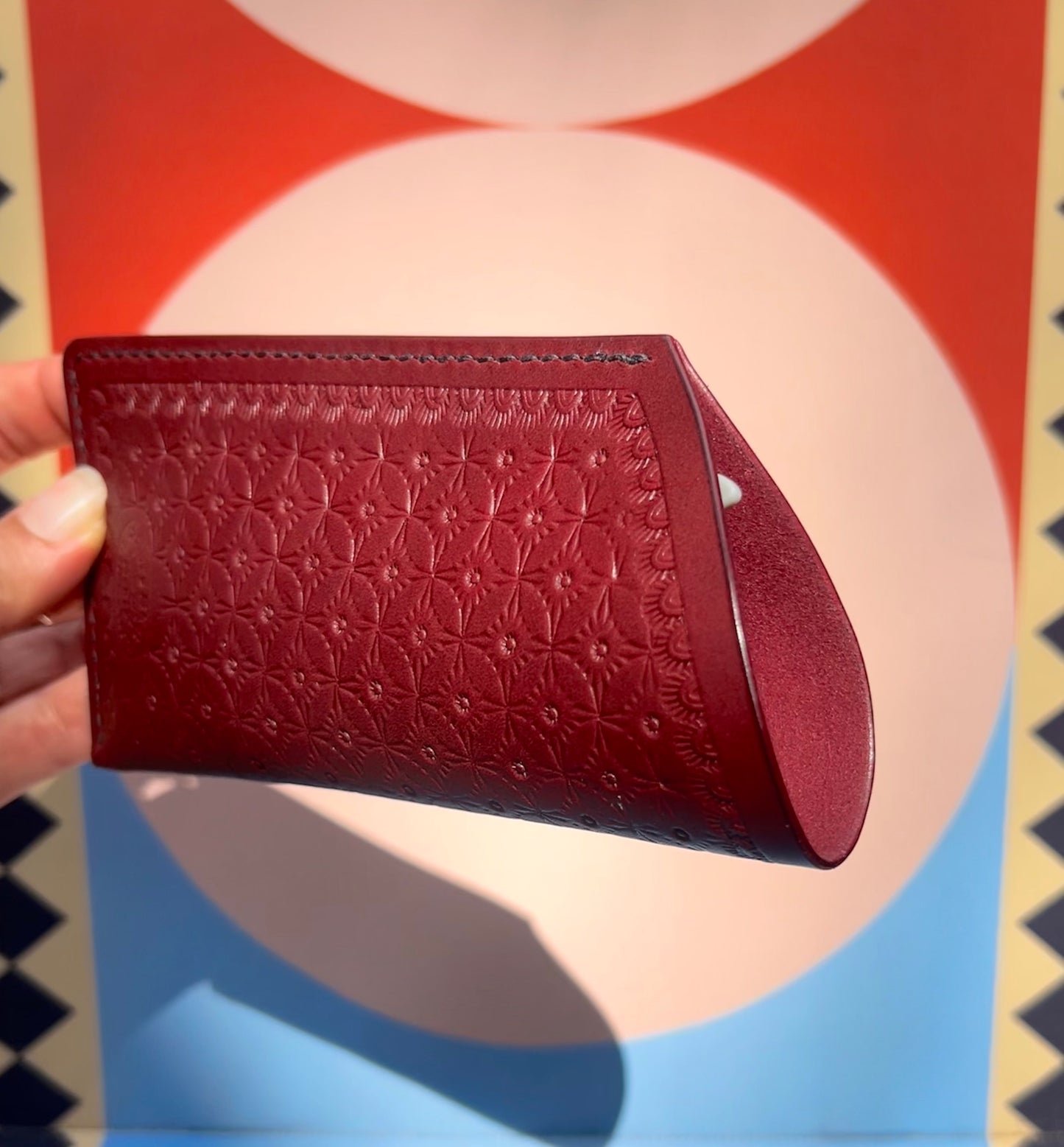 Glasses Case