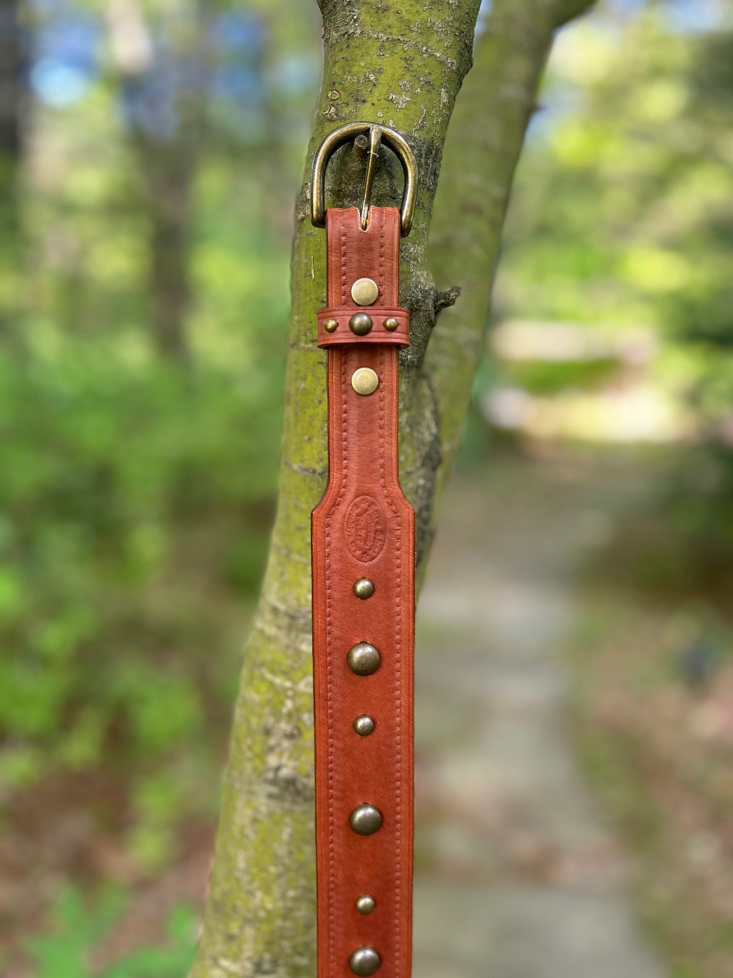Brass Studded Brown Belt